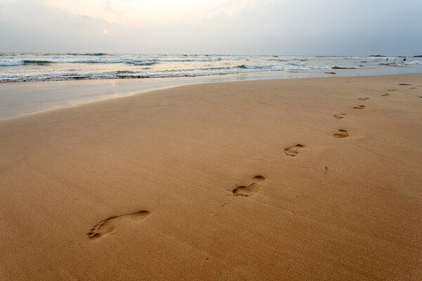 пейзаж с тропическим пляжем
