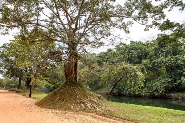 I corsi d'acqua intorno a fortezza di Sigiriya . — Foto Stock