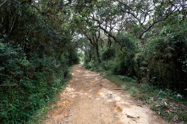 Parco nazionale delle pianure di Horton — Foto Stock