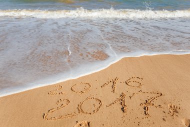 Mutlu yıllar 2017.