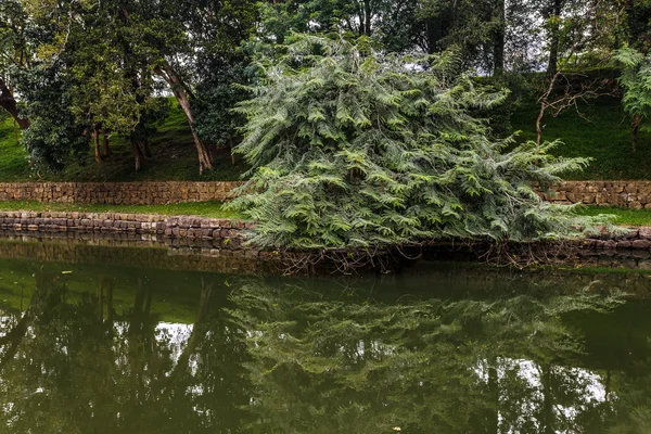 stock image Watercourses around fortress of Sigiriya.