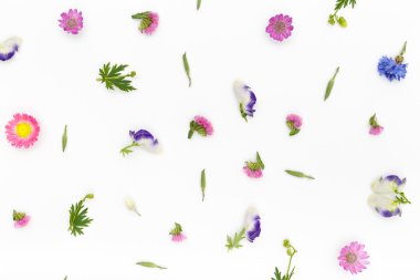 Çiçek desen beyaz arka plan üzerinde. Üstten Görünüm, düz yatıyordu