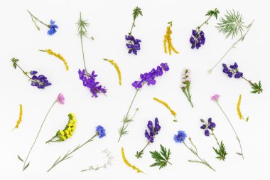 Çiçek desen beyaz arka plan üzerinde. Üstten Görünüm, düz yatıyordu