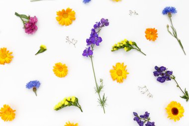 Çiçek desen beyaz arka plan üzerinde. Üstten Görünüm, düz yatıyordu