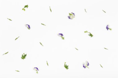 Çiçek desen beyaz arka plan üzerinde. Üstten Görünüm, düz yatıyordu