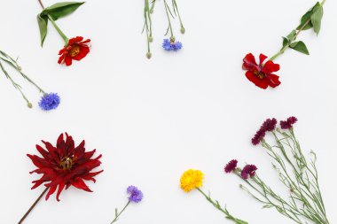 Çiçekler beyaz arka plan üzerinde. Üstten Görünüm, düz yatıyordu