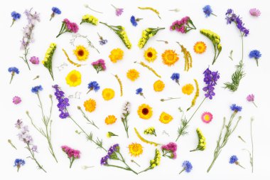 Kalp, Sevgililer çiçekler arka plan seviyorum. Üstten Görünüm, düz yatıyordu