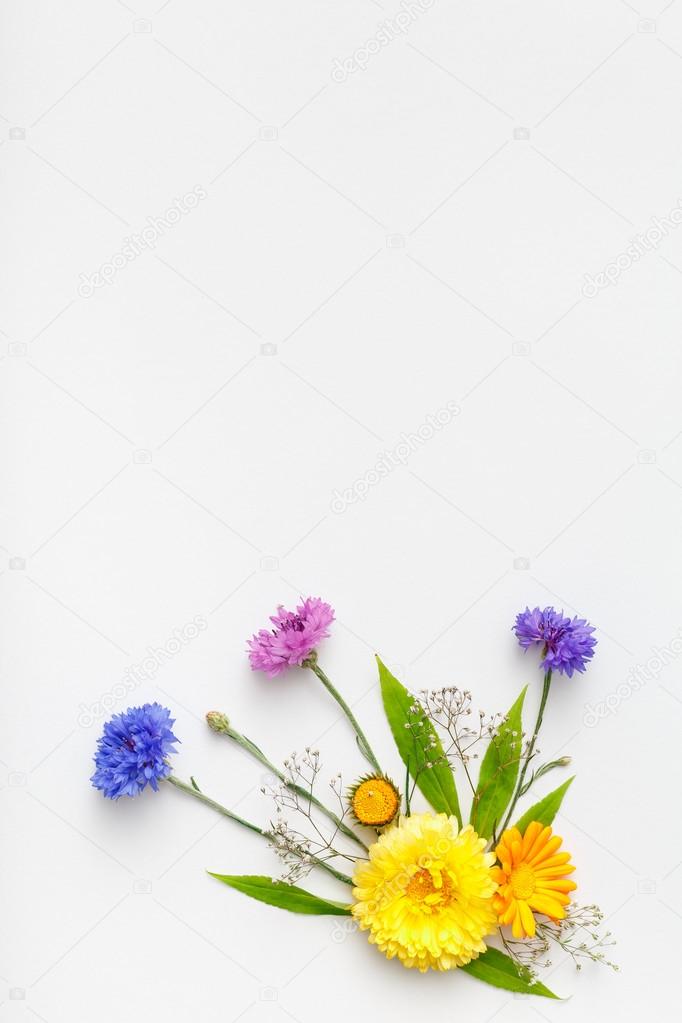 Flowers on white background. Top view, flat lay