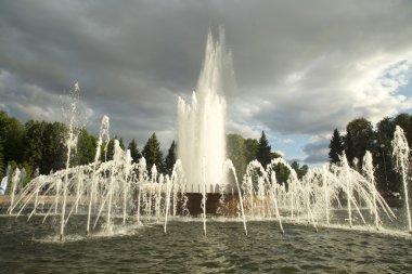  Primorsky zafer Park St Petersburg çeşme 