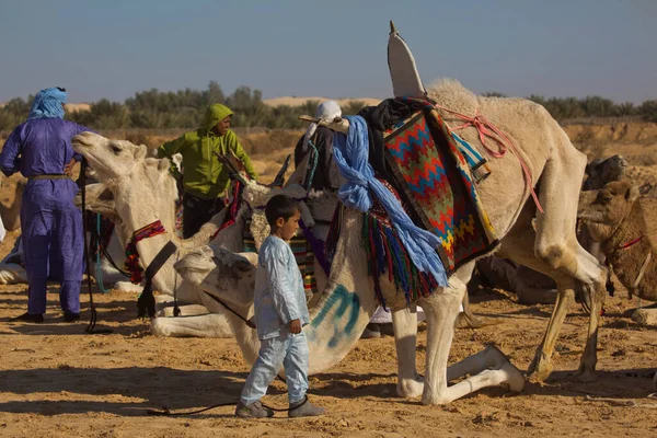 Doez Tunisia December 2018 Festival Van Sahara Douz Tunesië — Stockfoto