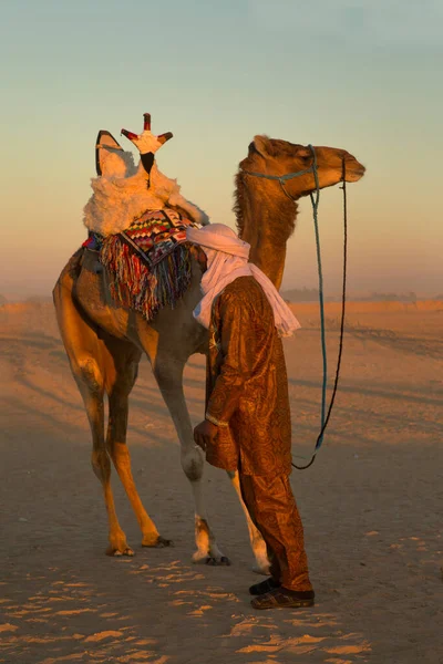 Douz Tunisia Aralık 2018 Douz Tunus Sahra Festivali — Stok fotoğraf