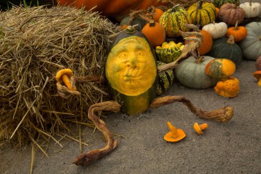 LUDWIGSBURG, Almanya, 10 Ekim 2019. Rakamlar, Almanya 'nın Ludwigsburg kasabasındaki bir balkabağından yapıldı..