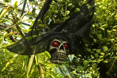 STUTTGART, ALMANY, 31 EKİM 2019. Almanya 'nın Stuttgart kentindeki Wilhelma Hayvanat Bahçesi' nde Cadılar Bayramı kutlaması.