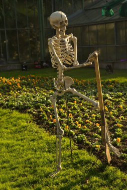 STUTTGART, ALMANY, 31 EKİM 2019. Almanya 'nın Stuttgart kentindeki Wilhelma Hayvanat Bahçesi' nde Cadılar Bayramı kutlaması.