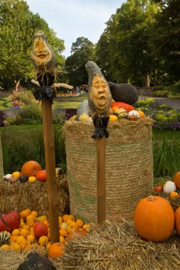 LUDWIGSBURG, ALMANY, 06 Eylül 2021. Rakamlar, Almanya 'nın Ludwigsburg kasabasındaki bir balkabağından yapıldı..