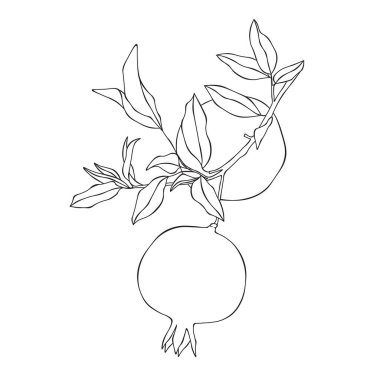 El yapımı nar meyveleri.