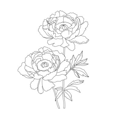 Sapında narin şakayık çiçekleri, minimalist çiçekli çizimler.