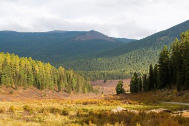 Marankul orman doğa