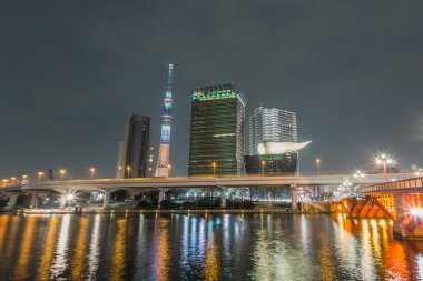 Tokyo, Japonya skyline sumida Nehri üzerinde.