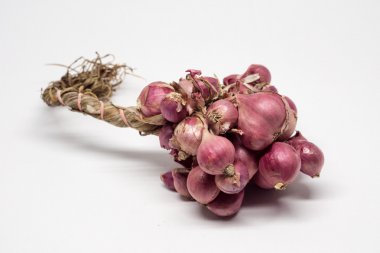 Beyaz arka plan üzerinde dikdörtgen soğancık soğan.