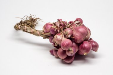 Beyaz arka plan üzerinde dikdörtgen soğancık soğan.