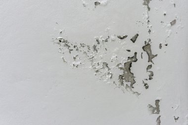 Duvardaki rutubet ve nemden kaynaklanan hasar.