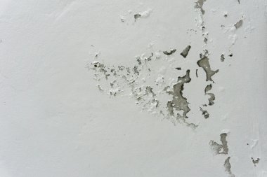 Duvardaki rutubet ve nemden kaynaklanan hasar.