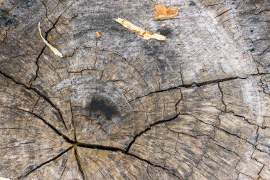 iç kahverengi günlük ahşap doku yüzey arka plan