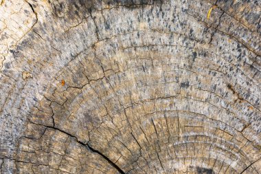 iç kahverengi günlük ahşap doku yüzey arka plan