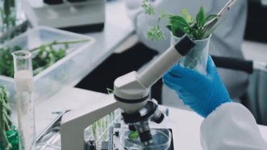 Laboratuvarda çalışan koruyucu eldivenli bilim adamı. bilimsel deney