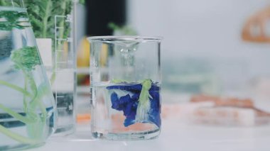 Masadaki vazoda mavi çiçekler