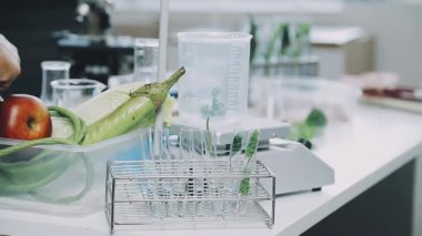 Tahta masada taze yeşil sebzeler