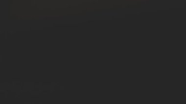 Bir grup insanın Şükran Günü 'nü kutlamak için şarap bardaklarıyla kadeh kaldırması ve uzay boşluğunu kopyalaması.