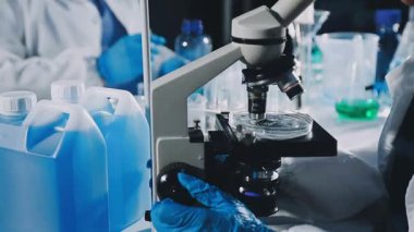 Laboratuvarda mikroskopla çalışan bir bilim adamı..