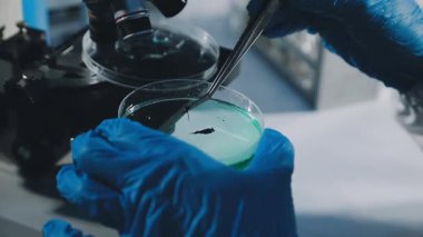 Laboratuvardaki bilim adamı.