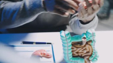 Gastroenterolog klinikteki hastayı inceliyor, insan mide modeline odaklanıyor.
