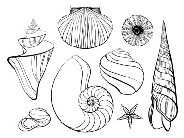 El stilize deniz kabukları set çekilmiş. Doodl resimde vektör