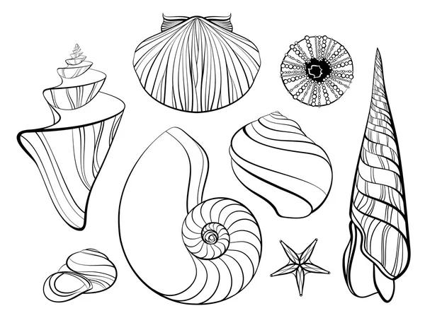 손으로 그려 양식된 바다 조개 세트. Doodl에서 벡터 일러스트 레이 션 — 스톡 벡터