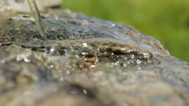 Ringen in water — Stockvideo
