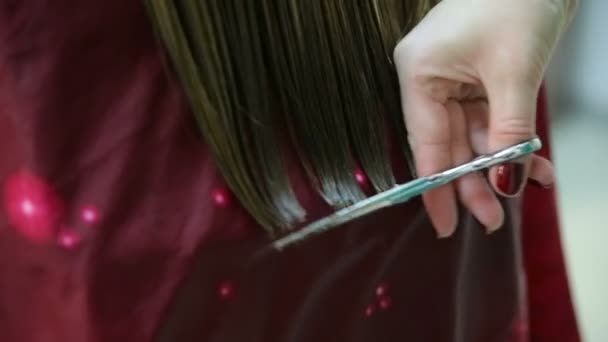 Professionele kapper klanten haar knippen — Stockvideo