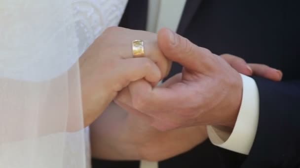 Mariée et marié tenant la main et marchant dans un parc . — Video