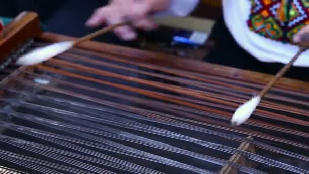 Ruční hra dulcimer — Stock video