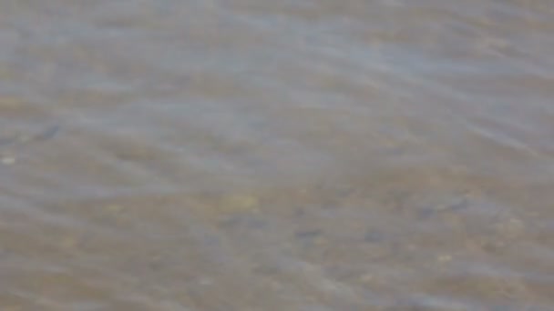 Winkend, Wasser auf dem See — Stockvideo