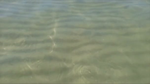 Сплеск води, чорний морський бриз — стокове відео