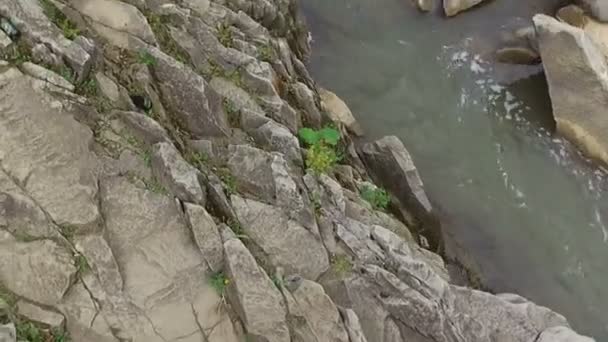 Río de montaña que fluye a través del bosque verde — Vídeos de Stock