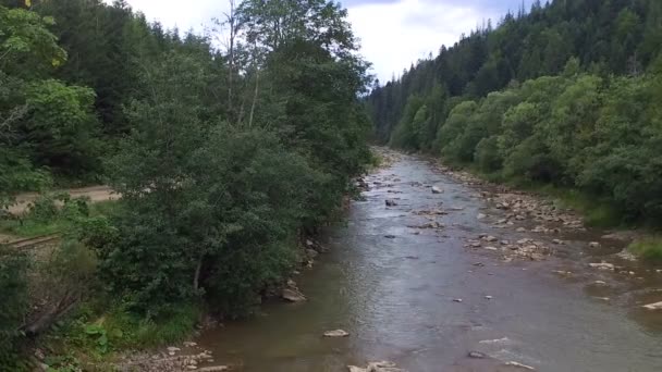 Río de montaña que fluye a través del bosque verde — Vídeos de Stock