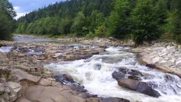 Hegyi folyó folyik át a zöld erdőn — Stock videók