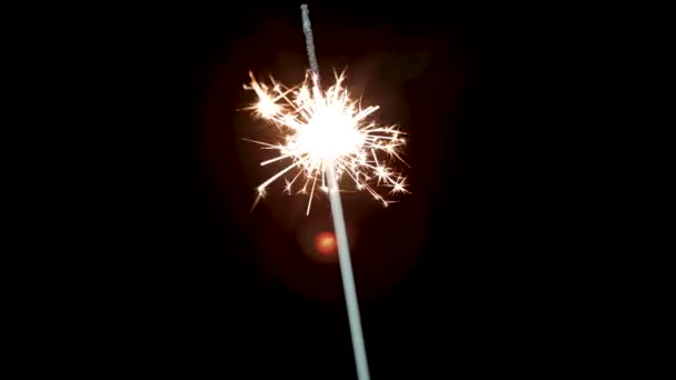 Burning sparkler isolated on black background. — Stock Video