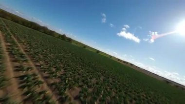 FPV insansız hava aracı, kırsal tarım arazileri ve tarlaların üzerinden uçuyor, sel bankaları ve sulak bataklık bölgeleri, Hughnshire, İngiltere, İngiltere, güneşli bahar günü 