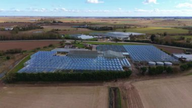 İngiltere 'nin kırsal kesimindeki büyük bir ticari seranın insansız hava aracı görüntüsü yüksek teknoloji sebze yetiştirme ve sürdürülebilir gıda üretimi için..